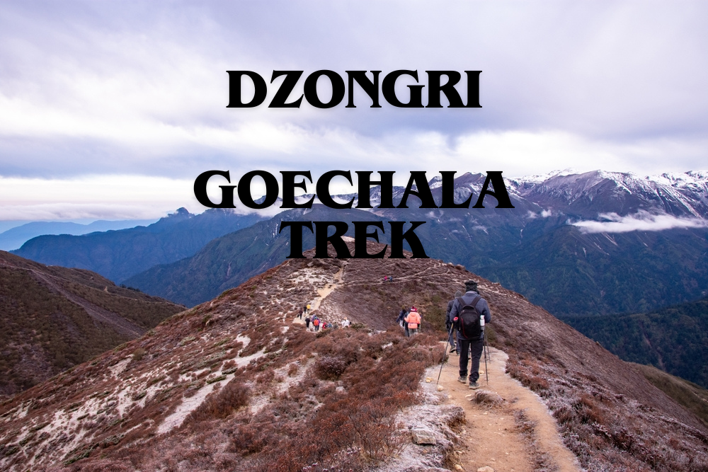 Dzongri Goechala Trek Complete Route Map, Itinerary & Highlights